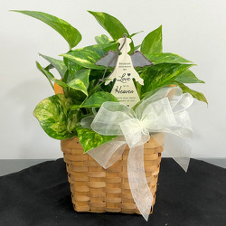 Plant Basket With Angel Md in Savannah, MO and St. Joseph, MO